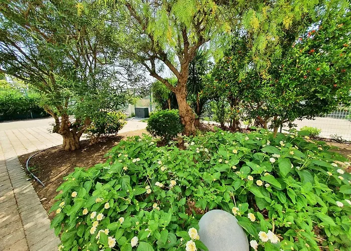 Via Ugento - Gihome سانت إيزيدورو